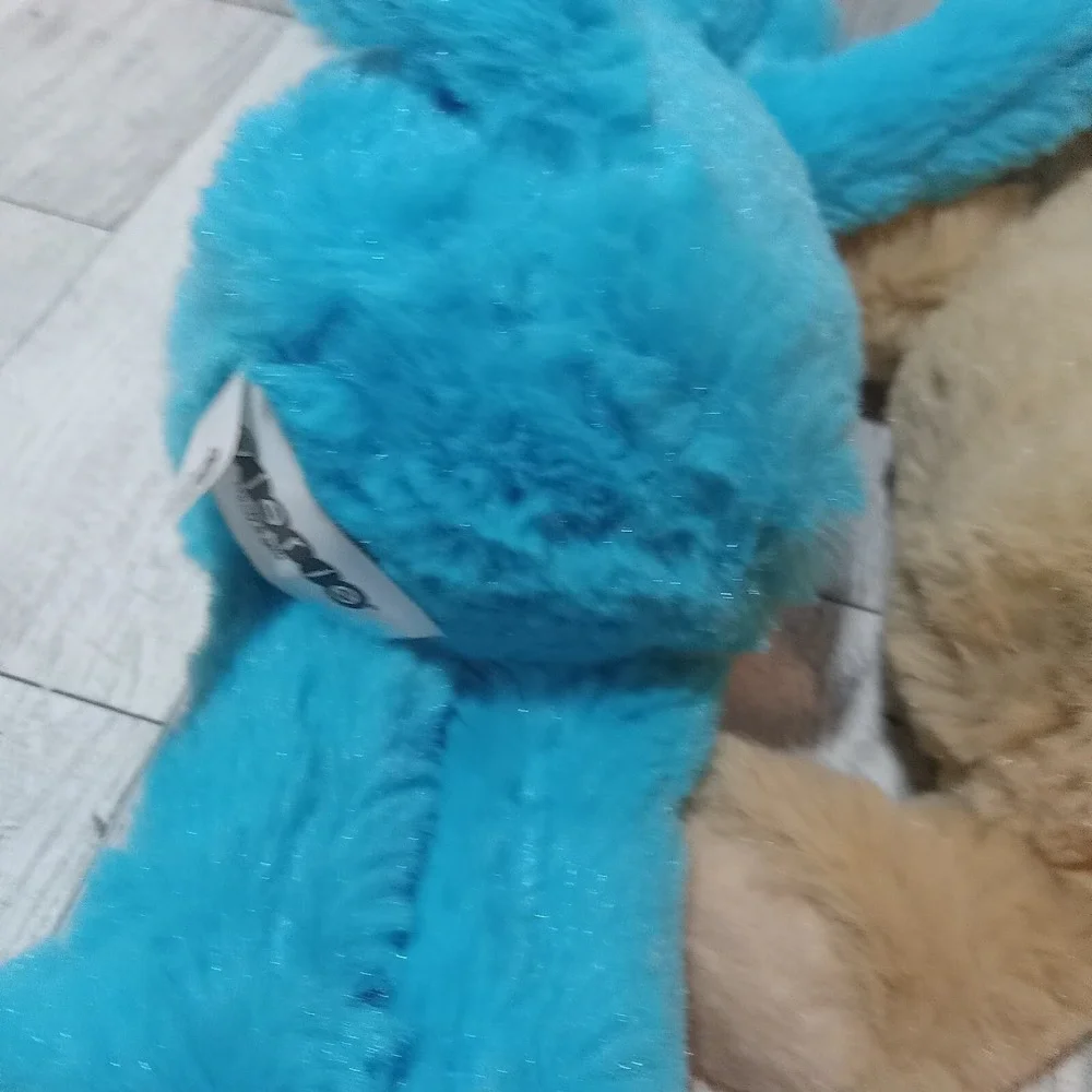 Galerie pair teddy